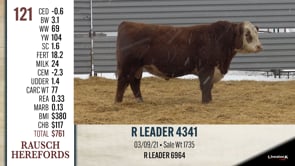 Lot #121 - R LEADER 4341