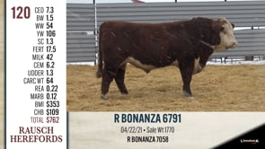 Lot #120 - R BONANZA 6791