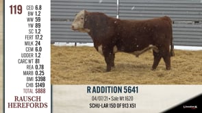 Lot #119 - R ADDITION 5641 ***OUT OF SALE***