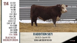 Lot #114 - R ADDITION 5871