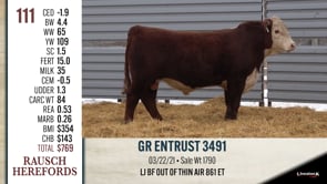 Lot #111 - GR ENTRUST 3491