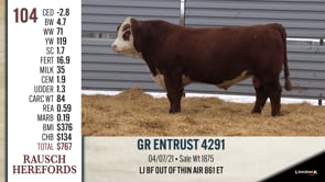 Lot #104 - GR ENTRUST 4291
