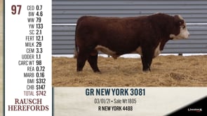 Lot #97 - GR NEW YORK 3081
