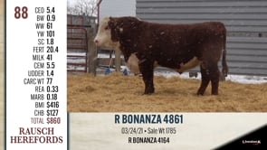 Lot #88 - R BONANZA 4861