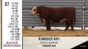 Lot #87 - R ANODIZE 4811