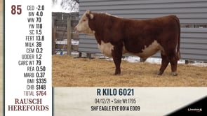 Lot #85 - R KILO 6021