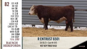 Lot #82 - R ENTRUST 6501