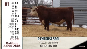 Lot #81 - R ENTRUST 5301