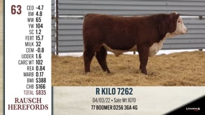 Lot #63 - R KILO 7262