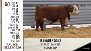 Lot #60 - R LEADER 5522