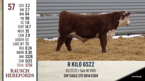 Lot #57 - R KILO 6522