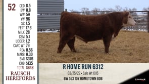 Lot #52 - R HOME RUN 6312
