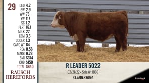 Lot #29 - R LEADER 5022