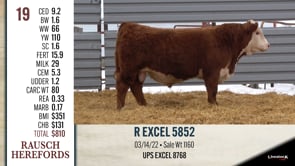 Lot #19 - R EXCEL 5852
