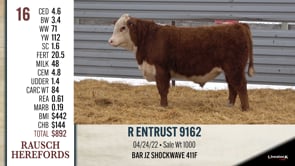 Lot #16 - R ENTRUST 9162