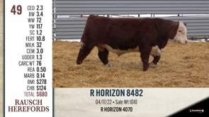 Lot #49 - R HORIZON 8482