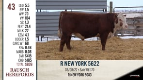 Lot #43 - R NEW YORK 5622