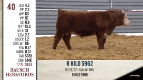 Lot #40 - R KILO 5962