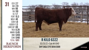 Lot #31 - R KILO 6322