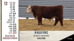Lot #12 - R KILO 5192