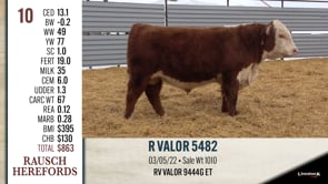 Lot #10 - R VALOR 5482