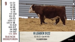 Lot #9 - R LEADER 5122