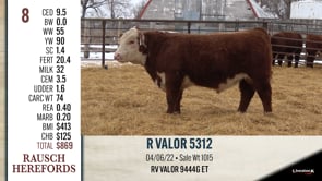 Lot #8 - R VALOR 5312