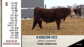 Lot #6 - R HORIZON 7422