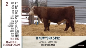 Lot #2 - R NEW YORK 5492