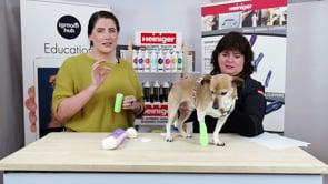 Using Vetwrap on a Injury