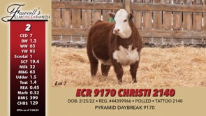 Lot #2 - ECR 9170 CHRISTI 2140
