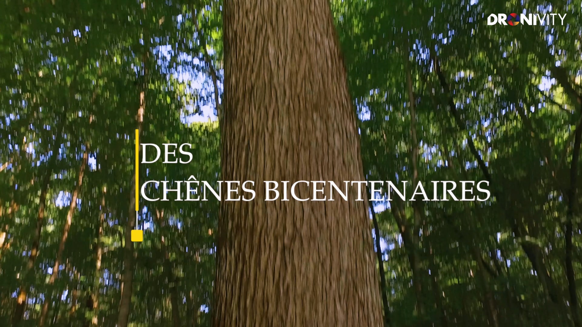 Scierie Petitrenaud