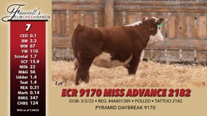 Lot #7 - ECR 9170 MISS ADVANCE 2182