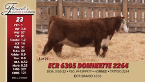 Lot #23 - ECR 6305 DOMINETTE 2264