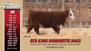 Lot #28 - ECR 6305 DOMINETTE 2463