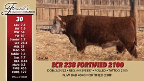 Lot #30 - ECR 238 FORTIFIED 2100