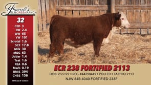 Lot #32 - ECR 238 FORTIFIED 2113