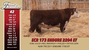 Lot #42 - ECR 173 ENDURE 2204 ET