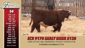 Lot #54 - ECR 9170 EARLY RISER 2138