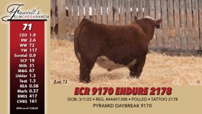 Lot #71 - ECR 9170 ENDURE 2178