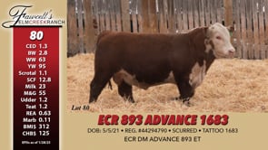 Lot #80 - ECR 893 ADVANCE 1683