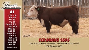 Lot #81 - ECR BRAVO 1595