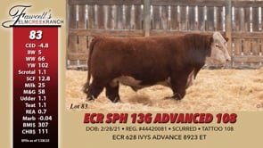 Lot #83 - ECR SPH 13G ADVANCED 108