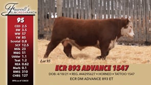 Lot #95 - ECR 893 ADVANCE 1547