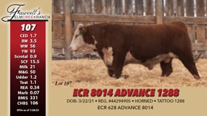Lot #107 - ECR 8014 ADVANCE 1288