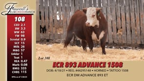 Lot #108 - ECR 893 ADVANCE 1508