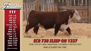 Lot #111 - ECR 738 SLEEP ON 1337