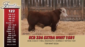 Lot #123 - ECR 326 EXTRA WHIT 1581