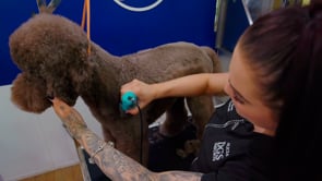 Related Embedded Video Item Thumbnail