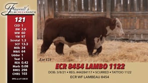 Lot #121 - ECR 8454 LAMBO 1122